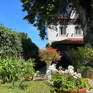  Maison d'hôtes Branca Jacinta
